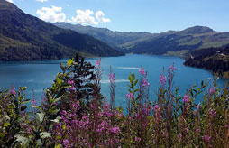 Rsidence Les chalets d'Arrondaz