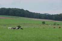 R�sidence Les Hameaux des Lacs