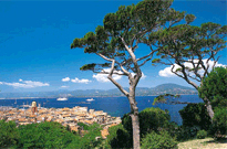 Domaine de plein-air Vilanova Park