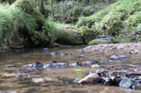 Belambra Club Lou Castel