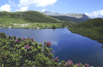 Pi�mont