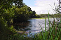 Rsidence Nma Les Roches