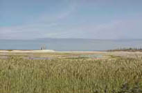 Rsidence Nma Le Domaine des Mauriers