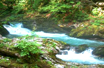 Saint vincent les forts